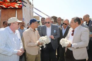 من النويرة..محافظ بني سويف يفتتح موسم جمع القطن لعام 2025